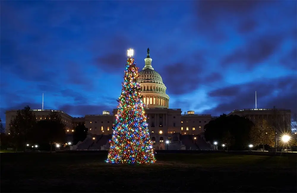 How Does the National Christmas Tree Get to Washington, D.C.?