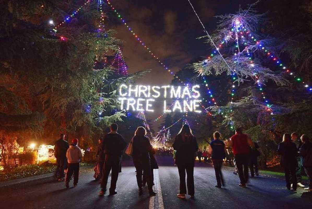 Christmas Tree Lane Survived the Fires